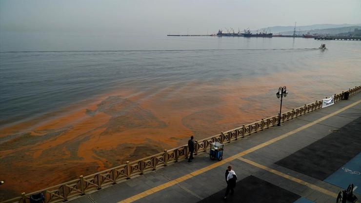Marmara Denizindeki plankton kaynaklı turunculuk