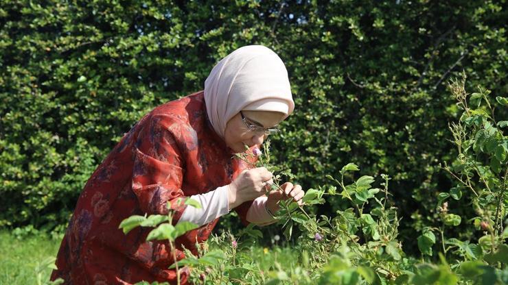 Emine Erdoğan, Nezahat Gökyiğit Botanik Bahçesini ziyaret etti