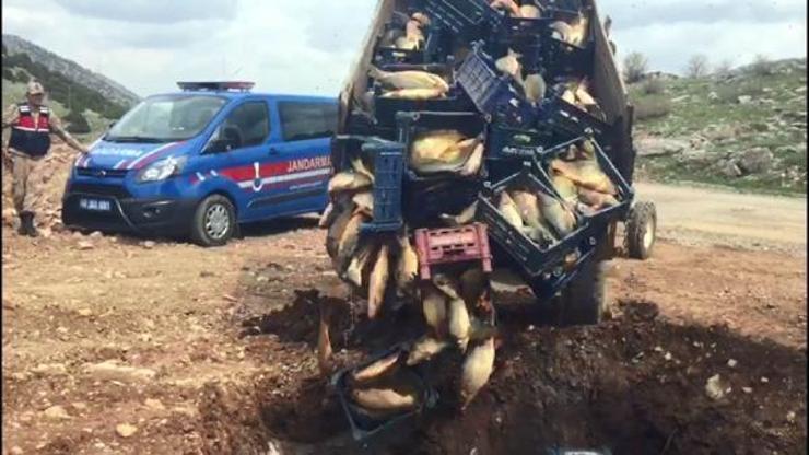 Sağlıksız koşullarda taşınan 1 ton 200 kilo balık imha edildi