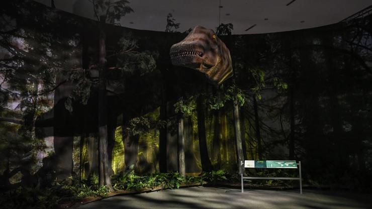 Dünyanın en büyük dinozor sergisi