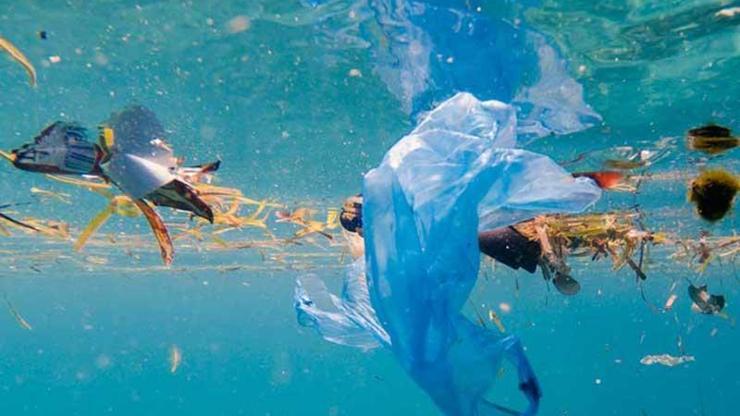 Denizlerdeki plastik atıklar doğayı ve insan sağlığını tehdit ediyor