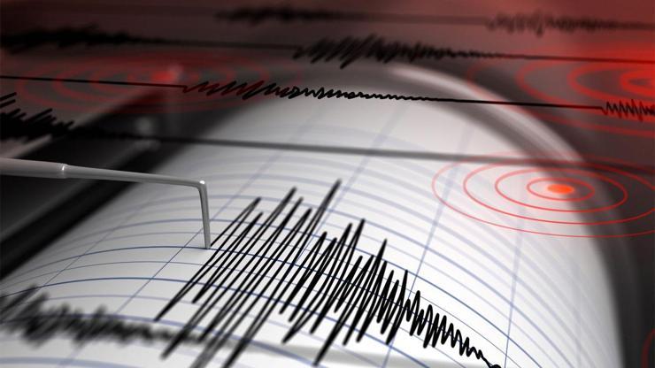 Endonezyada 7,3 büyüklüğündeki depremde 2 kişi öldü