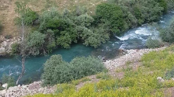 Çaya giren Fatma Nur kayboldu