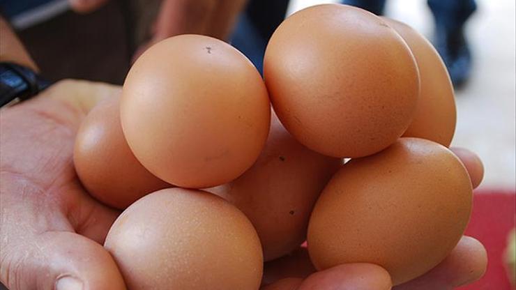 Yumurta üreticilerine 90 gün vadeli mısır satışı yapılacak