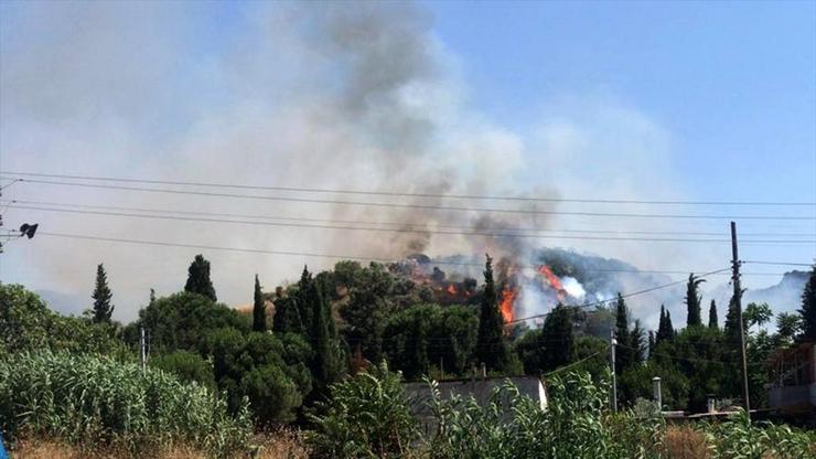 Son dakika Manisada orman yangını