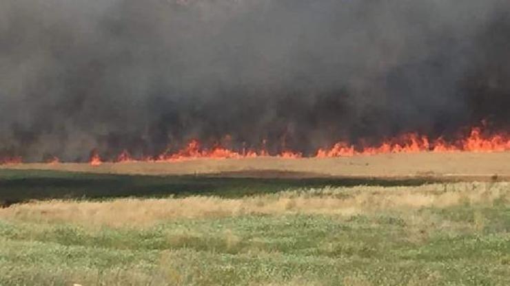 Kırıkkale’de 350 dönümlük buğday tarlası yandı Kırıkkale’de 350 dönümlük buğday tarlası yandı