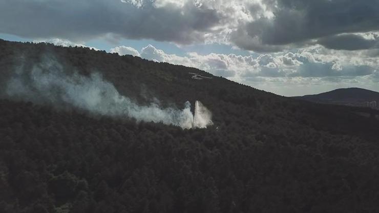 Valilik: Aydostaki orman yangınını 2 çocuk çıkardı