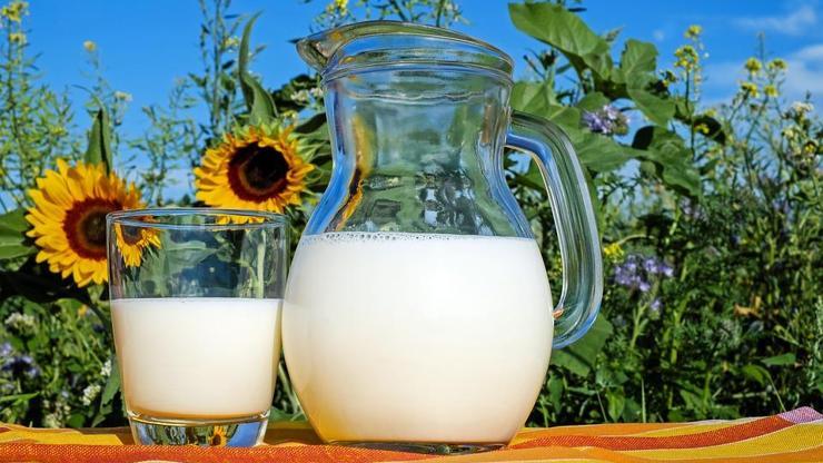 Çiğ süt desteği ödemesi ne zaman yapılacak Bakan Pakdemirli ödeme tarihini duyurdu