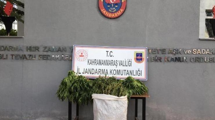 Kahramanmaraşta uyuşturucu operasyonu: 2 gözaltı