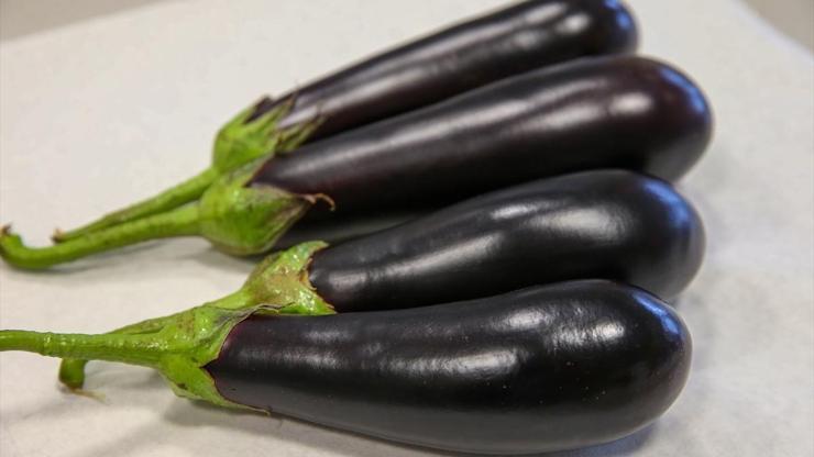 Deri hastalıklarına patlıcanlı çözüm