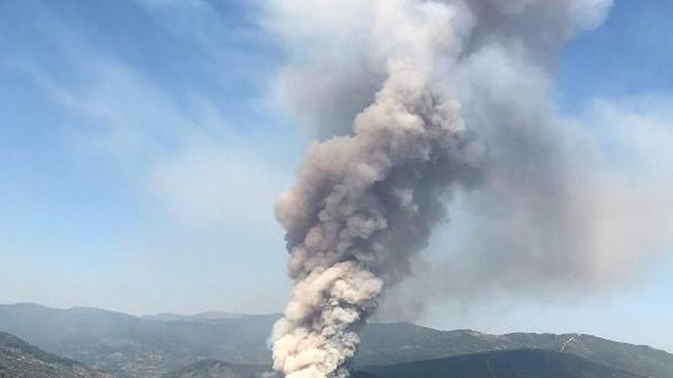 Bayındırda bahçelerin bulunduğu bölgede yangın