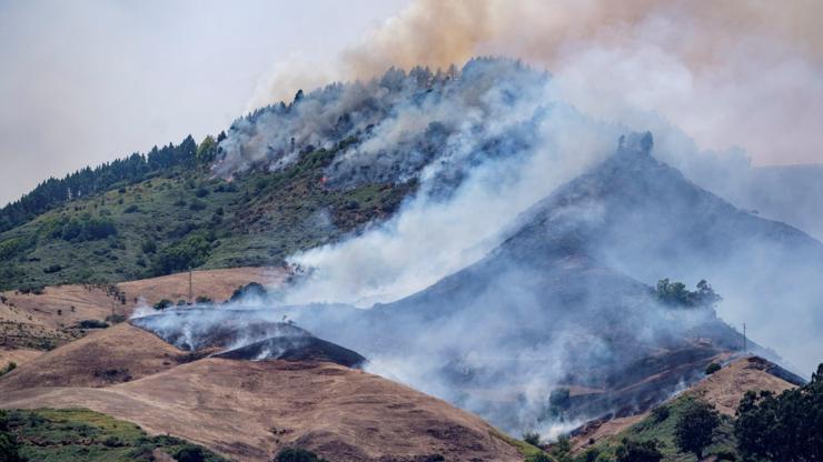 Kanarya Adalarında yangın 9 bin kişi tahliye edildi