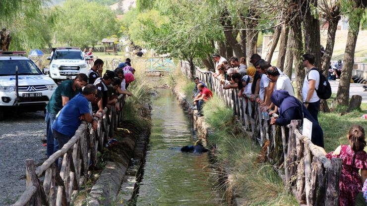 15 bin lira değerindeki bilezik için seferber oldular