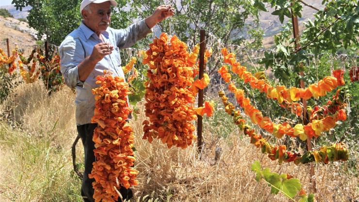 Kış hazırlıkları başladı Bu da kurutmalık’ mesaisi