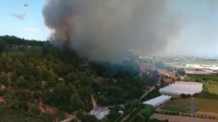 Son dakika... Perge Antik Kenti yakınında orman yangını