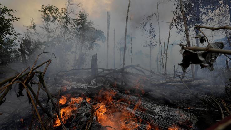 Dünyanın akciğerleri Amazonlarda yangınlar devam ediyor