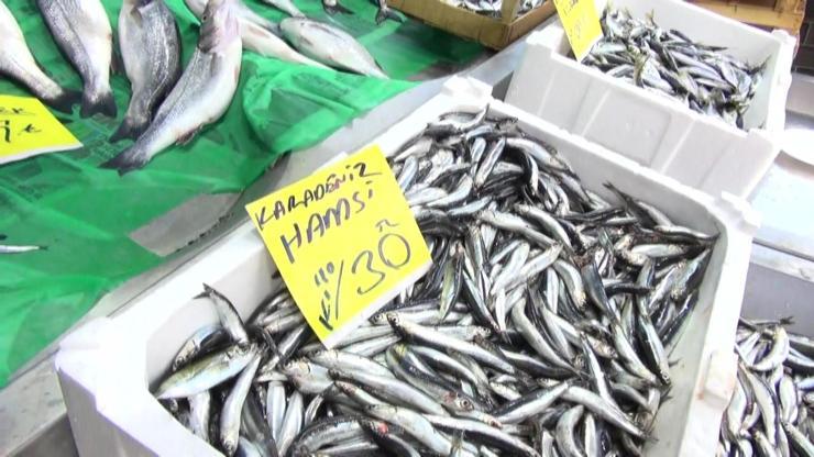 Türkiyede balık tüketimi son durumu