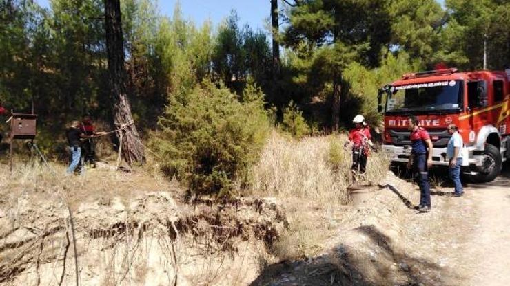 Kuyuya düşen kediyi itfaiye kurtardı