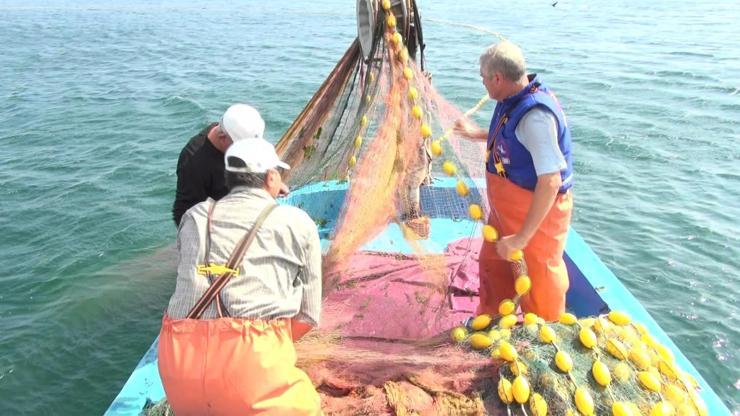 Balık tezgahları durgun Ağlar neden boş çekiliyor