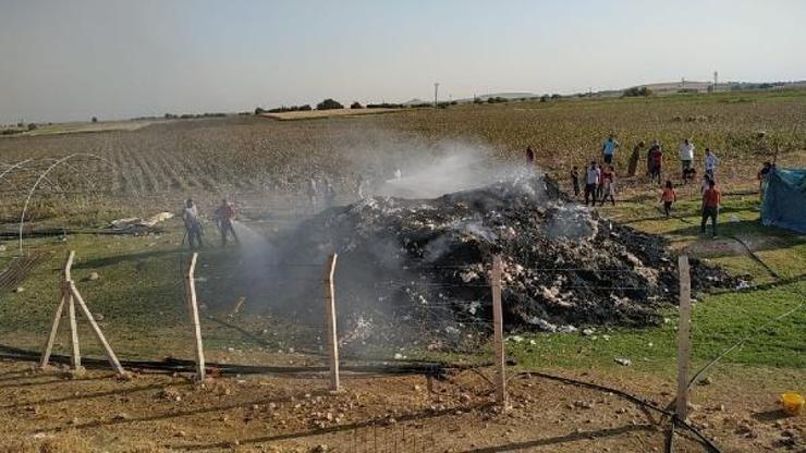 Şanlıurfa'da 12 ton pamuk yandı