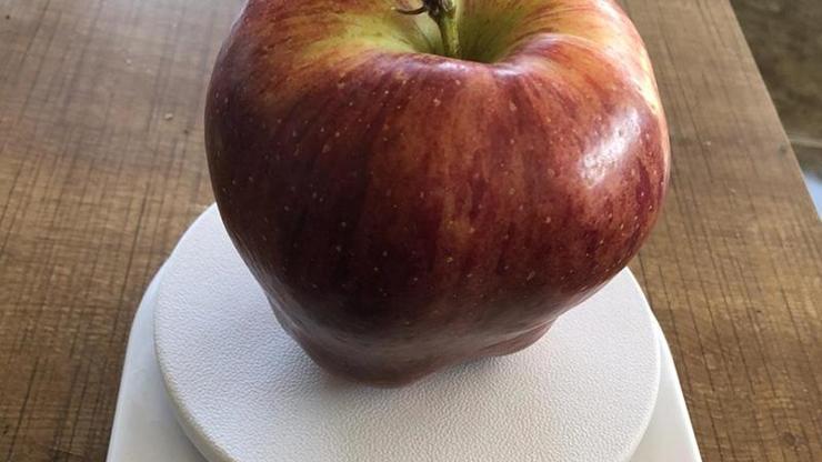 950 gramlık elma görenleri şaşırtıyor