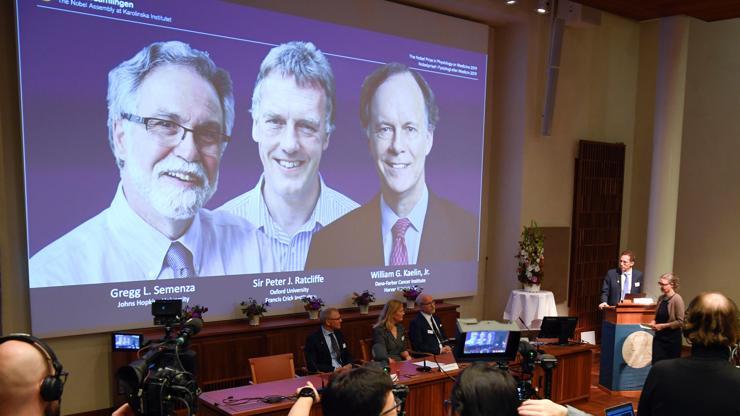 Son dakika... 2019  Nobel Tıp Ödülünü kazananlar açıklandı