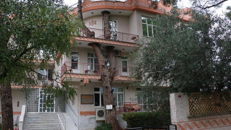 3 asırlık ağaç balkonun ortasından geçiyor