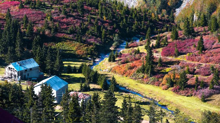 Karadeniz’de sonbahar güzelliği göz kamaştırıyor