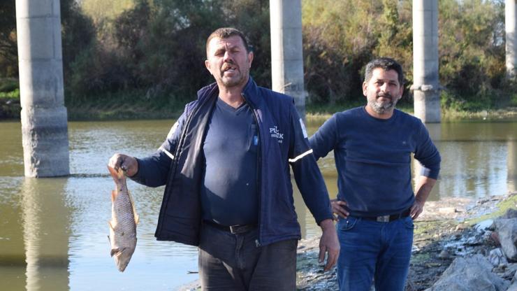 Bursada balık ölümleri devam ediyor Buna dur denmesi lazım...