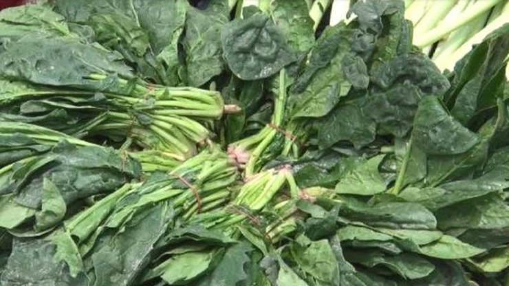 Ispanak zehirlenmesi neden oldu İşte Cem Seymen’in yorumu: İnanmıyorum