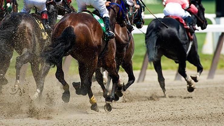 Türkiye Varlık Fonundan at yarışları ve bahisleri adımı