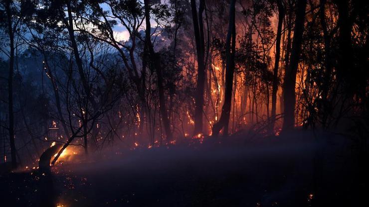 Avustralya’da orman yangınları büyüyor