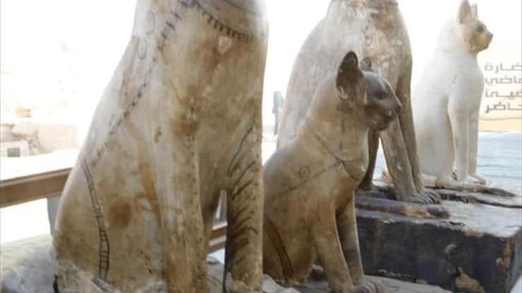 Mısırda kedi heykelleri ve mumyaları bulundu