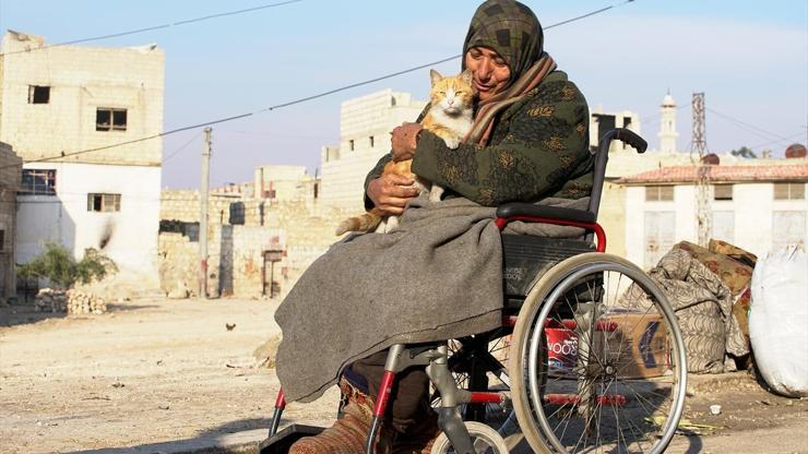Kedilerin annesi İdlibdeki bombardımandan tekerlekli sandalyesiyle kaçtı