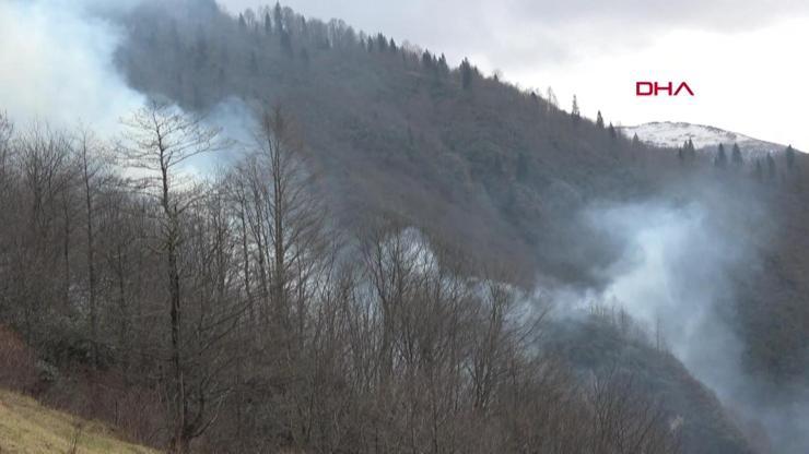 Orman yangınları 65 saatte söndürüldü