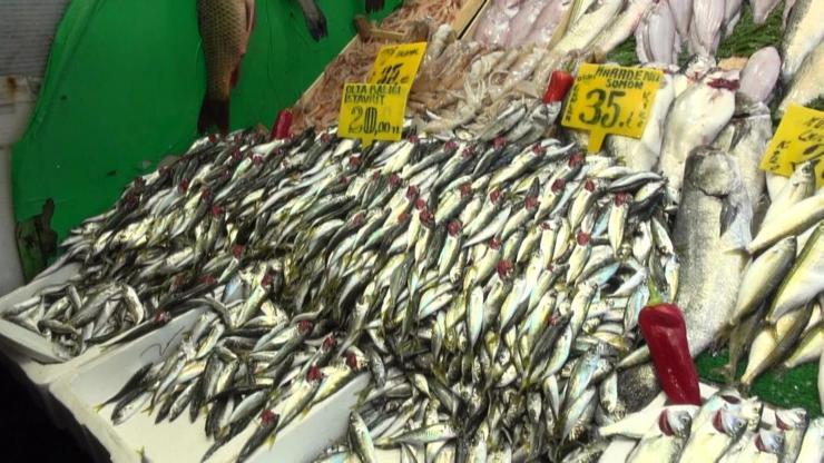 Balık fiyatları düşmüyor
