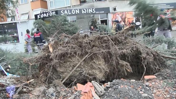 Ümraniyede aracın üzerine ağaç devrildi