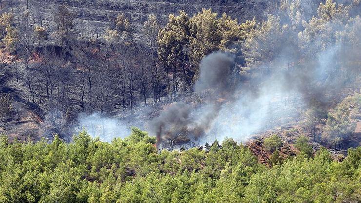 Terör örgütü PKK/KCKnın yangın yalanı çürütüldü