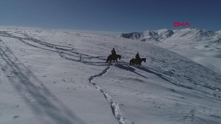 VEDAŞ ekipleri atlarla karlı dağları aşıp arızaya ulaşıyorlar