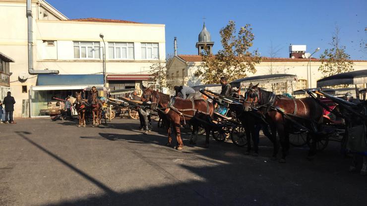 İBB Adalardaki fayton ve atları kamulaştıracak