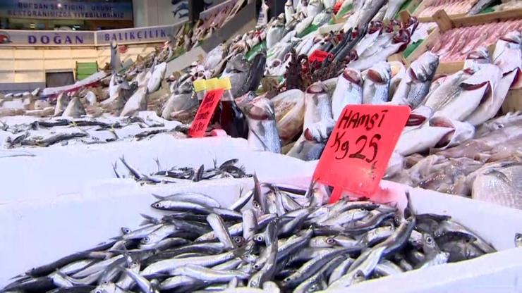 Balık fiyatları ne oldu