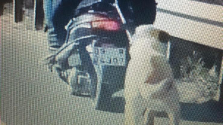 Köpeği motosiklete bağlayan adama para cezası