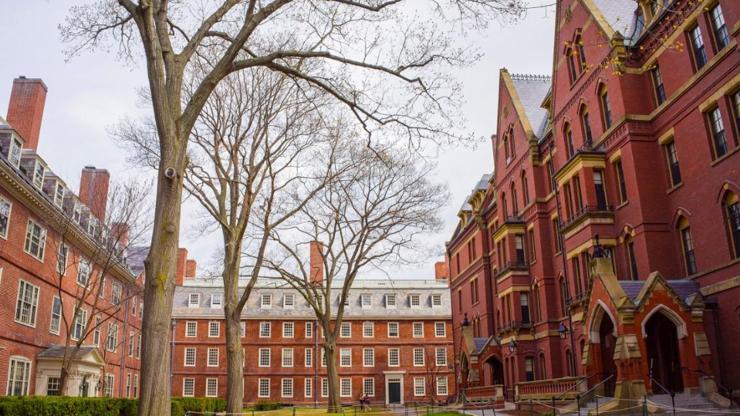 Harvard ile Yalee gizli fon soruşturması: 6.6 milyar dolar rapor edilmemiş