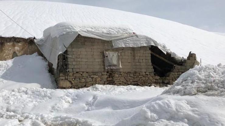 Kar ağırlığına dayanmayan ahır çöktü