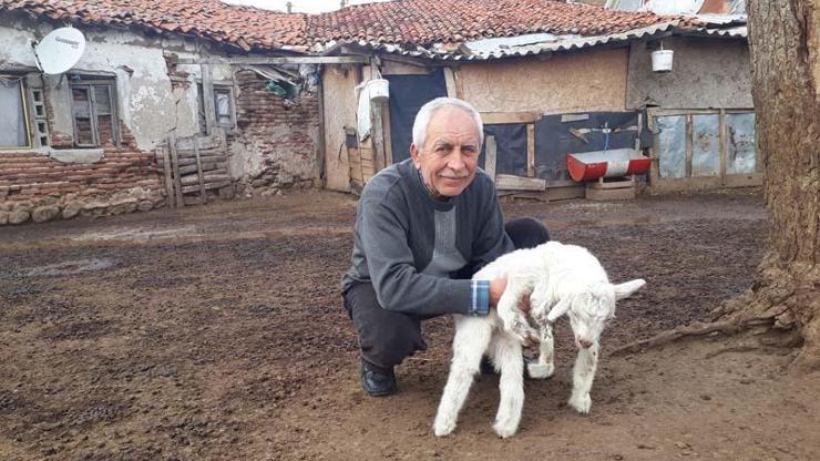 Sahibi elleriyle besliyor Görenleri şaşkına çevirdi