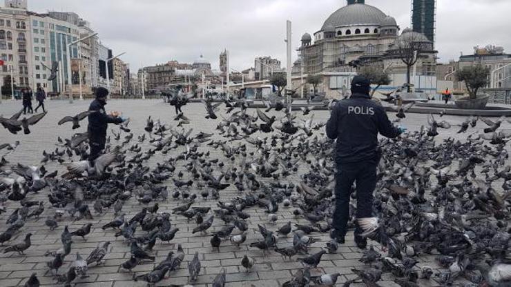 Taksimde aç kalan güvercinleri polisler besledi