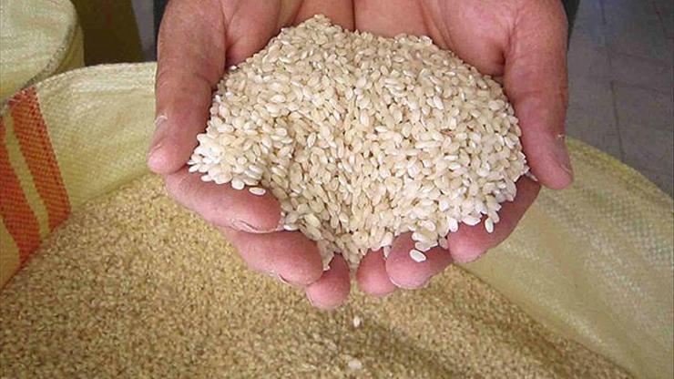 TMOdan çeltik ve pirinç stoğu açıklaması