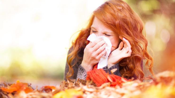 Hava kirliliği alerjik hastalıkları etkiler mi