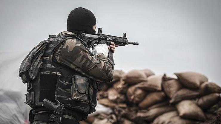 Diyarbakırın Lice kırsalında 2 terörist etkisiz hale getirildi