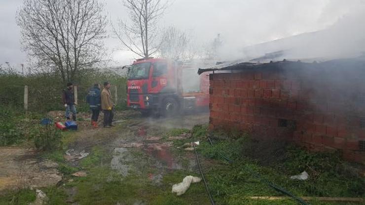 Kümeste çıkan yangında 12 bin tavuk telef oldu